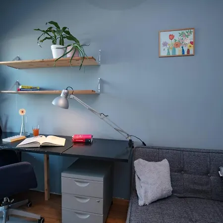 Dwupoziomowy, Rodzinny Apartament. Ochrona, Garaz. *